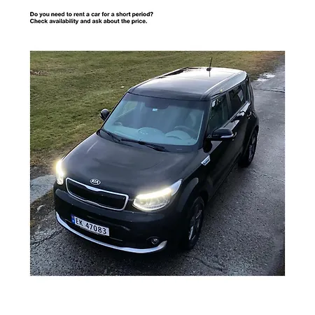 Great Place With A Stunning View Of The Mountains And The Fjord