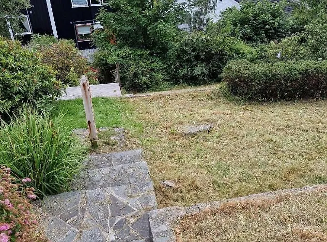 Great Place With A Stunning View Of The Mountains And The Fjord *