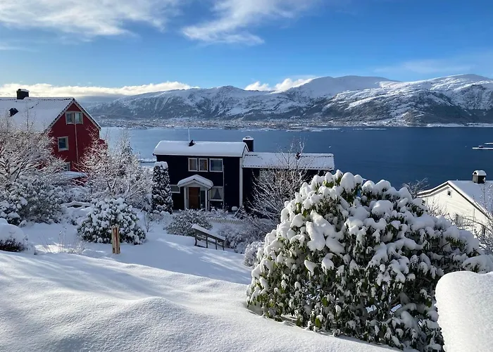 Great Place With A Stunning View Of The Mountains And The Fjord 公寓 *